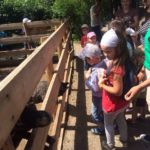IMG_1443-05-07-19-01-00